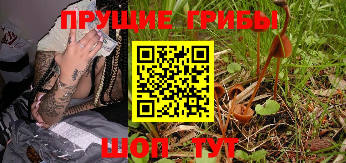 Карачаевск  Галлюциногенные грибы MAGIC MUSHROOMS  Вход с VPN 