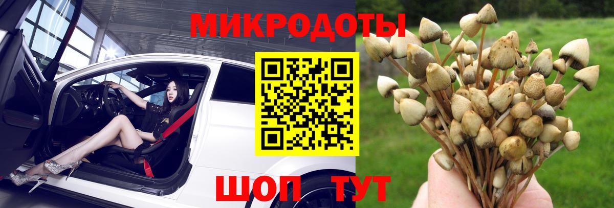 Псилоцибиновые грибы GOLDEN TEACHER Карачаевск