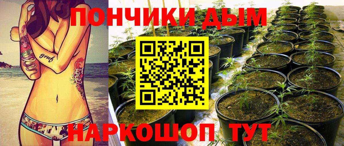 Марихуана сатива  Вход с VPN  Канабис Bruce Banner  МАРИХУАНА тримм  Карачаевск 